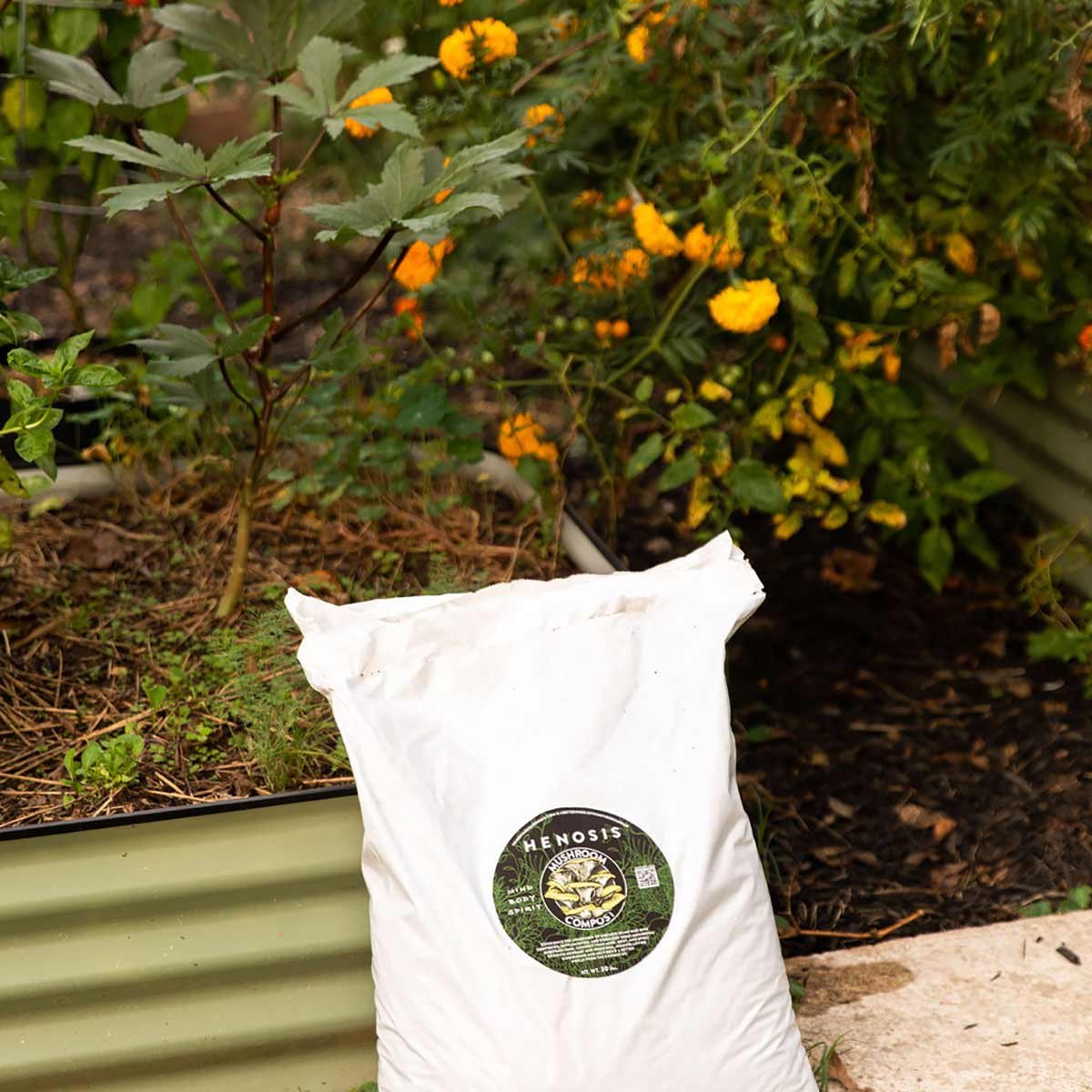 Henosis_Garden-1.jpg