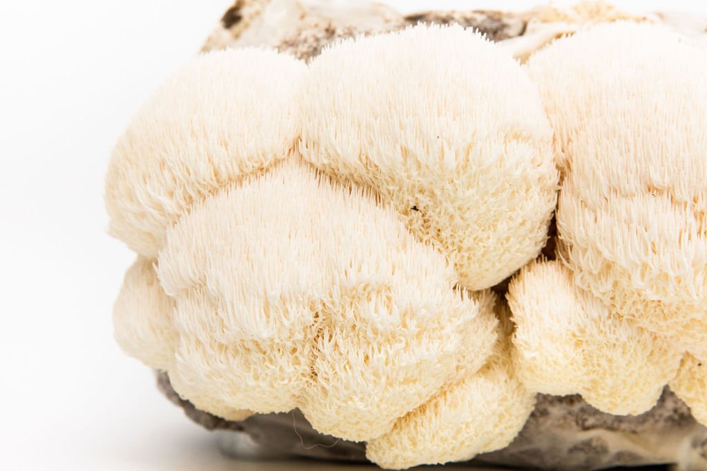 Henosis_Product-White-162.jpg