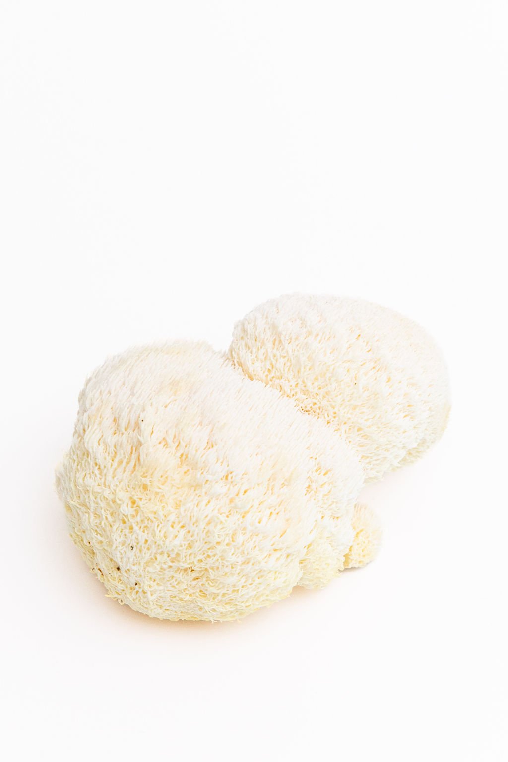 Henosis_Product-White-42.jpg