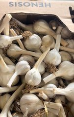 //www.henosismushrooms.com/cdn/shop/files/IMG_EFF7D975CF2D-1_5f4efae7-7af2-4708-823b-2dcdee357023_small.jpg?v=1757088152