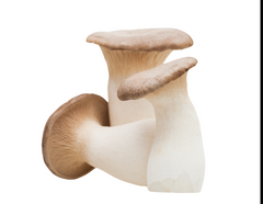 //www.henosismushrooms.com/cdn/shop/files/ScreenShot2025-09-05at11.20.47AM_small.png?v=1757106982