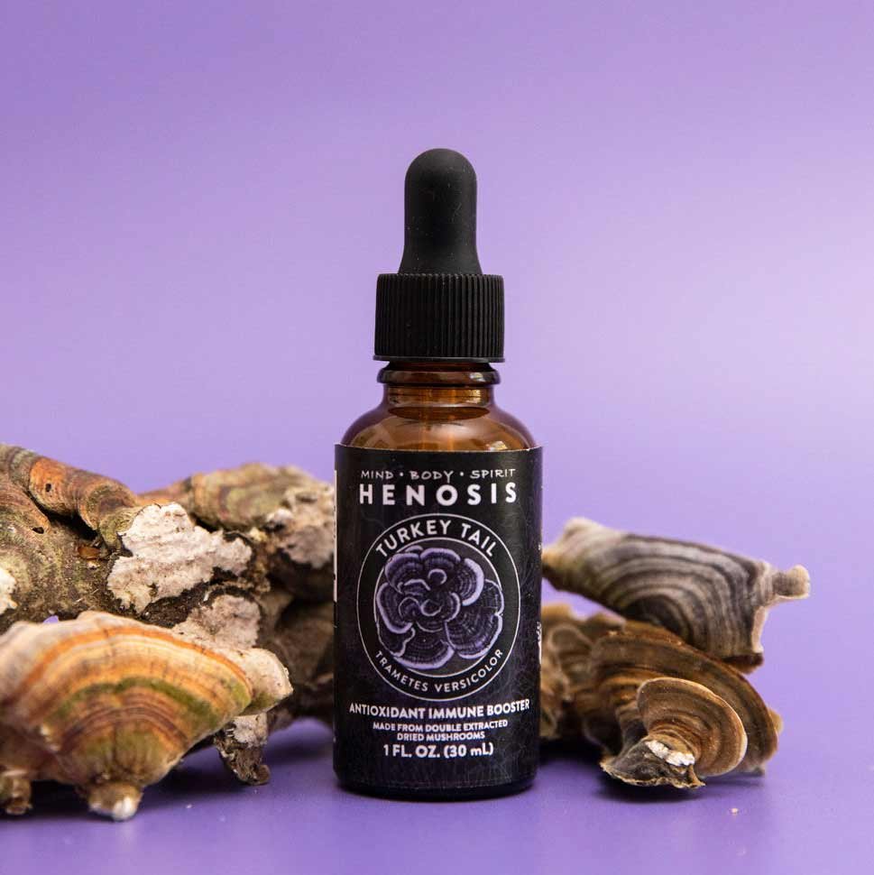 TurkeyTail_Extract_Henosis_2.jpg
