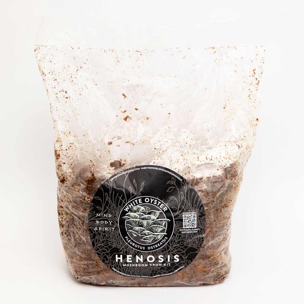 WhiteOyster_Mushroom_GrowKit_Henosis_10.jpg