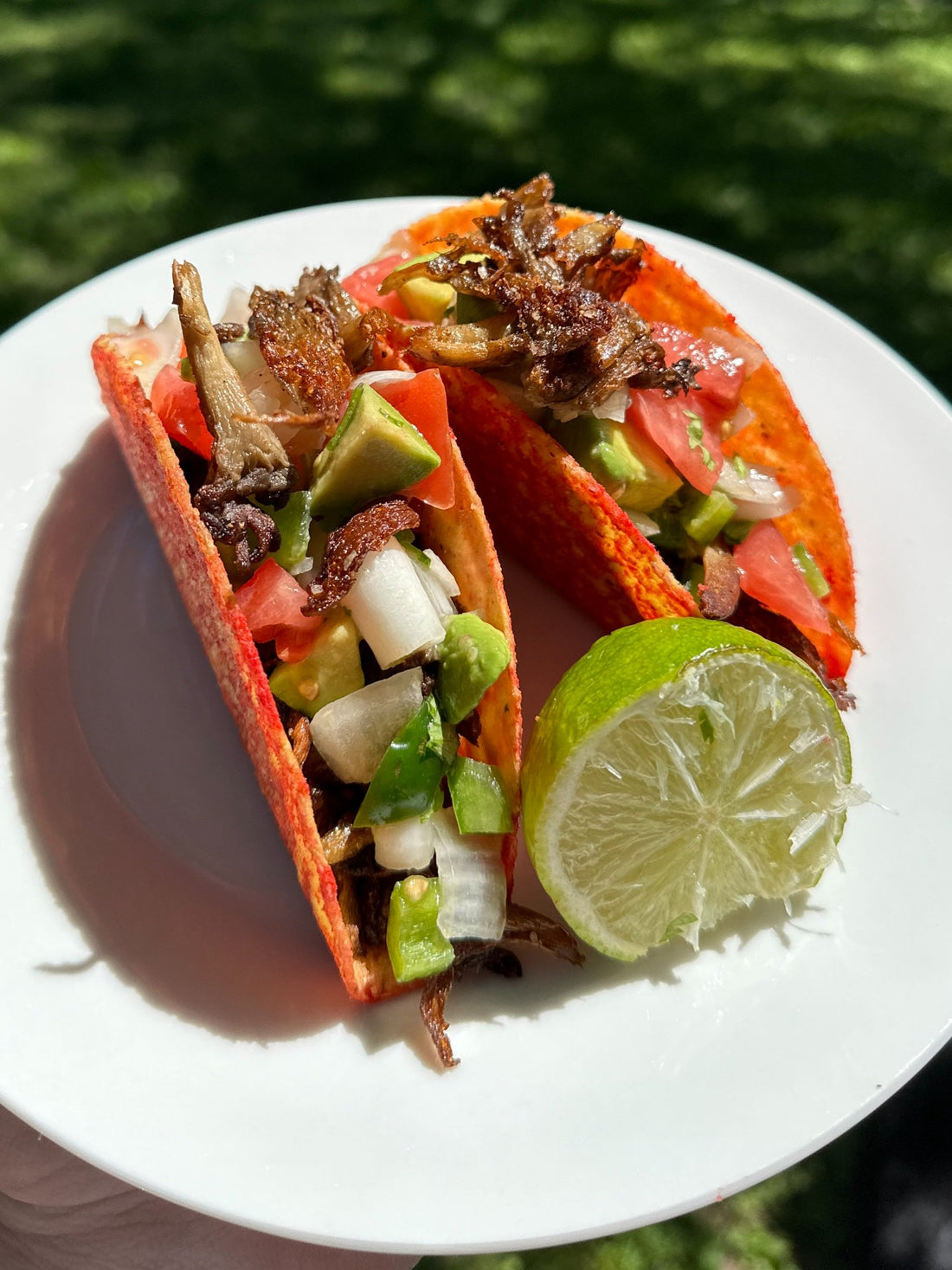 Quick and Easy Oyster Mushroom Tacos