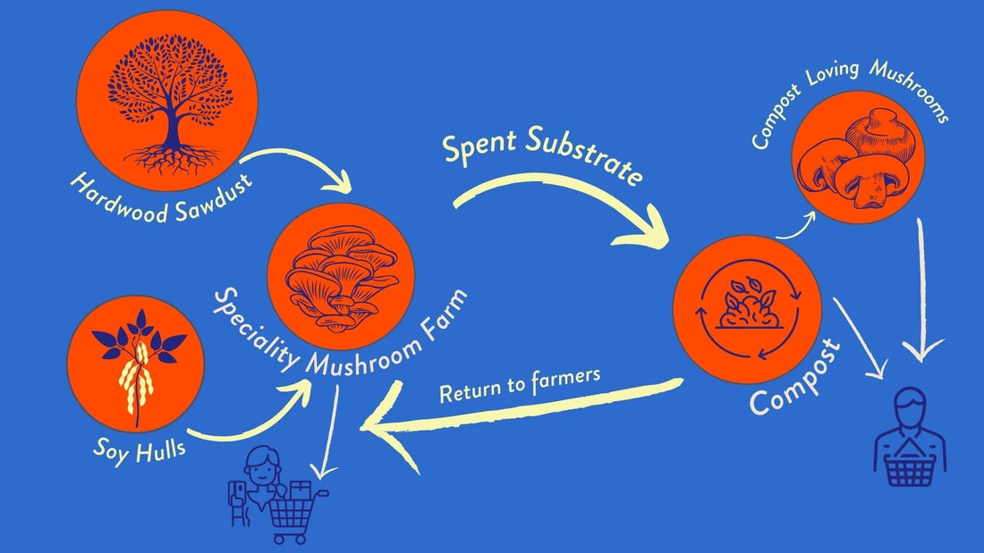 Rooted in Resilience: Why CSAs Matter Now More Than Ever