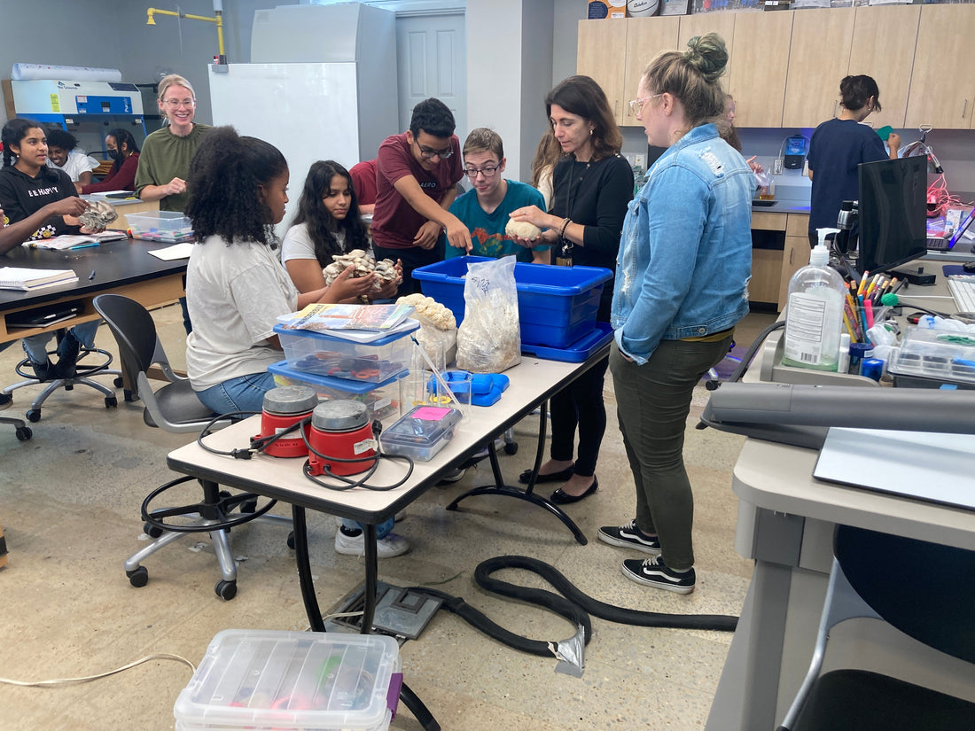 Growing Curiosity: A Classroom Mushroom Grow Kit Lesson Plan for Grades 3–5