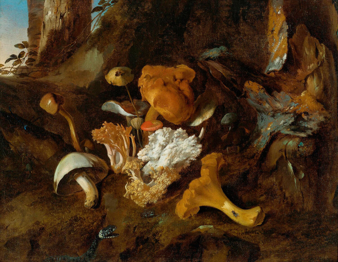 Hearth and Field: At the Crossroads: the Amazing Mushroom