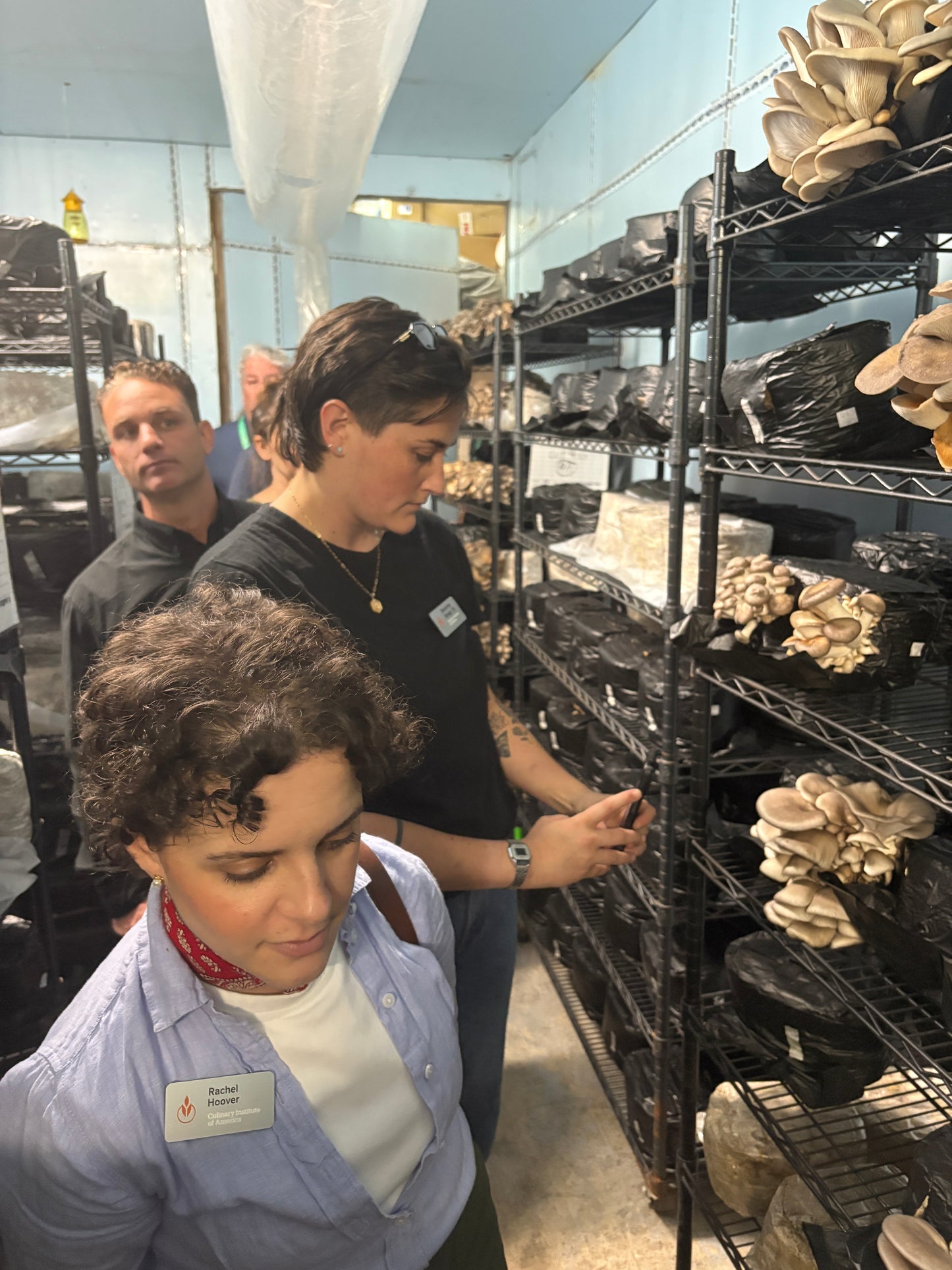 Farm Tours