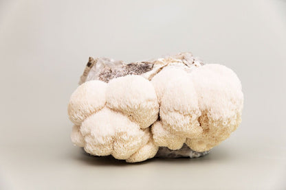 Henosis_Product-Color-27.jpg