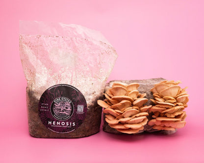 Henosis_Product-Color-29.jpg