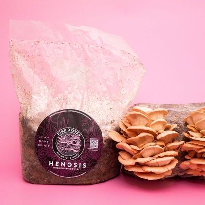 Henosis_Product-Color-30.jpg
