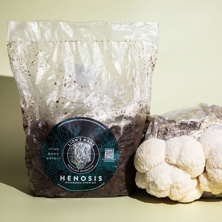 Henosis_Product-Color-61.jpg