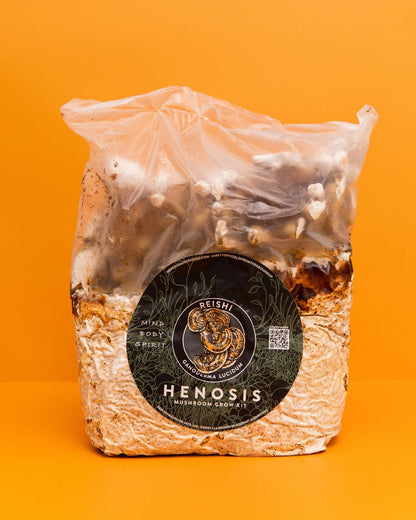 Henosis_Product-Color-68.jpg