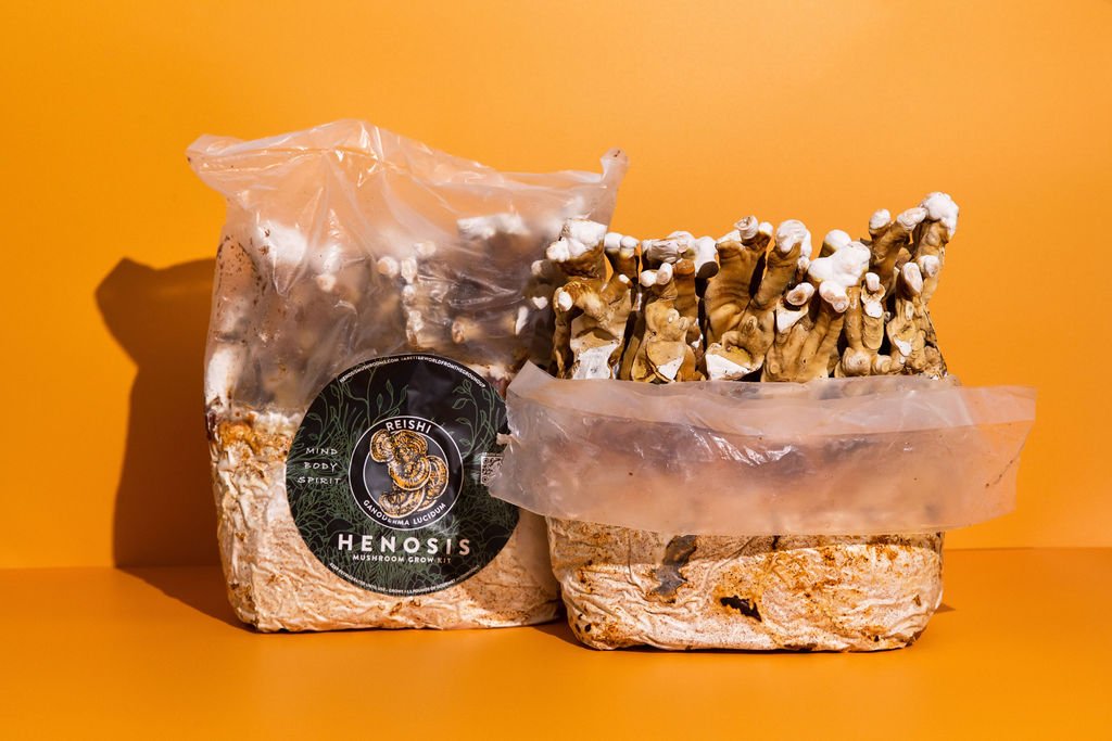 Henosis_Product-Color-71.jpg