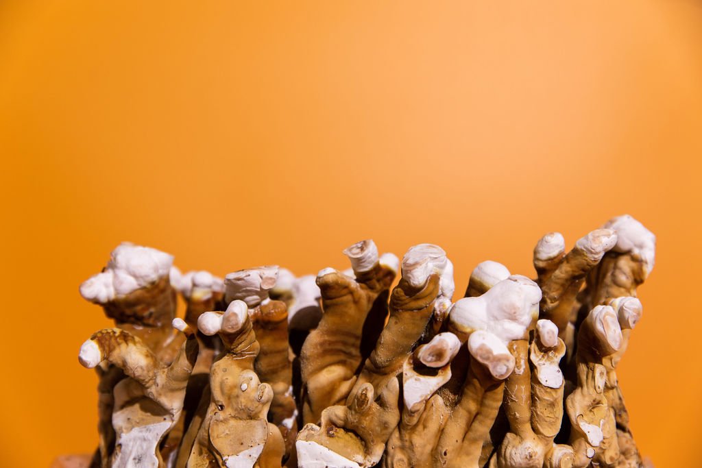 Henosis_Product-Color-73.jpg