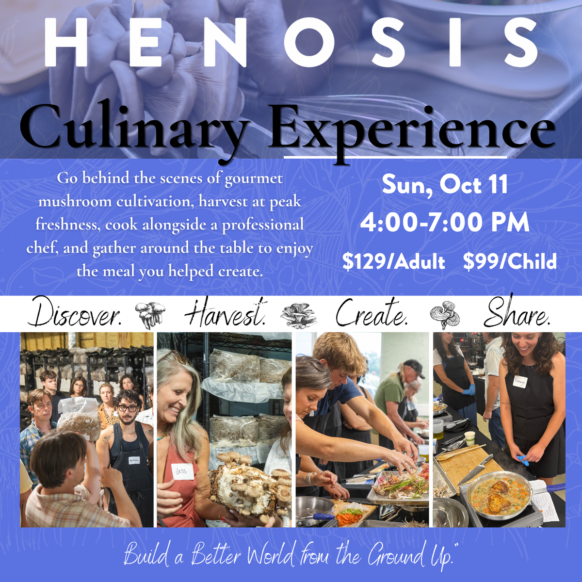 Farm Culinary Experience Behind the Scenes 